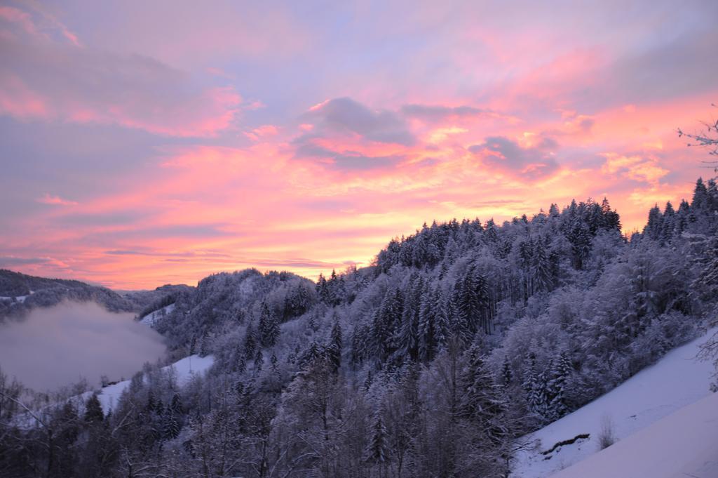 Apartmens And Rooms Sostar Cerkno Exterior foto